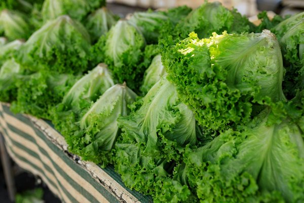 Viaggio Gastronomico nel Cuore del Ristorante-Bar