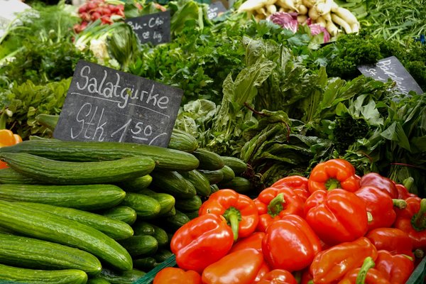 Attrezzatura Innovativa per Chef di Ogni Liv